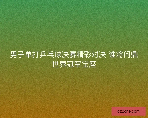 男子单打乒乓球决赛精彩对决 谁将问鼎世界冠军宝座