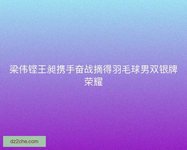 梁伟铿王昶携手奋战摘得羽毛球男双银牌荣耀