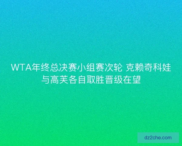 WTA年终总决赛小组赛次轮 克赖奇科娃与高芙各自取胜晋级在望